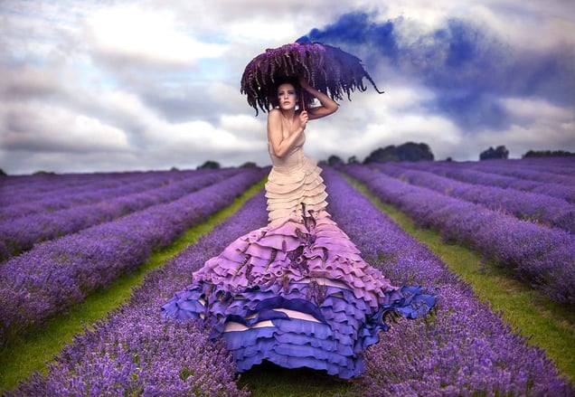 The Lavender Princess