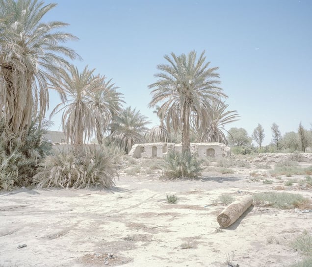 Severe lack of water and drought have caused the palm trees to dry out, and people have left their houses and moved to other cities because of unemployment and water crisis. Pelgi Village, Edimi Town, Sistan