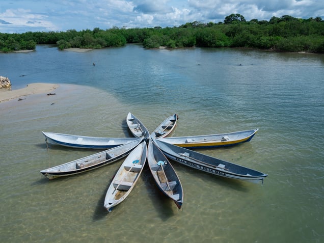 "Shrimp Boats" from the book "El pez muere por la boca / The Fish Dies By Its Mouth."