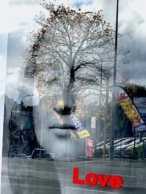 Window reflections (Love)