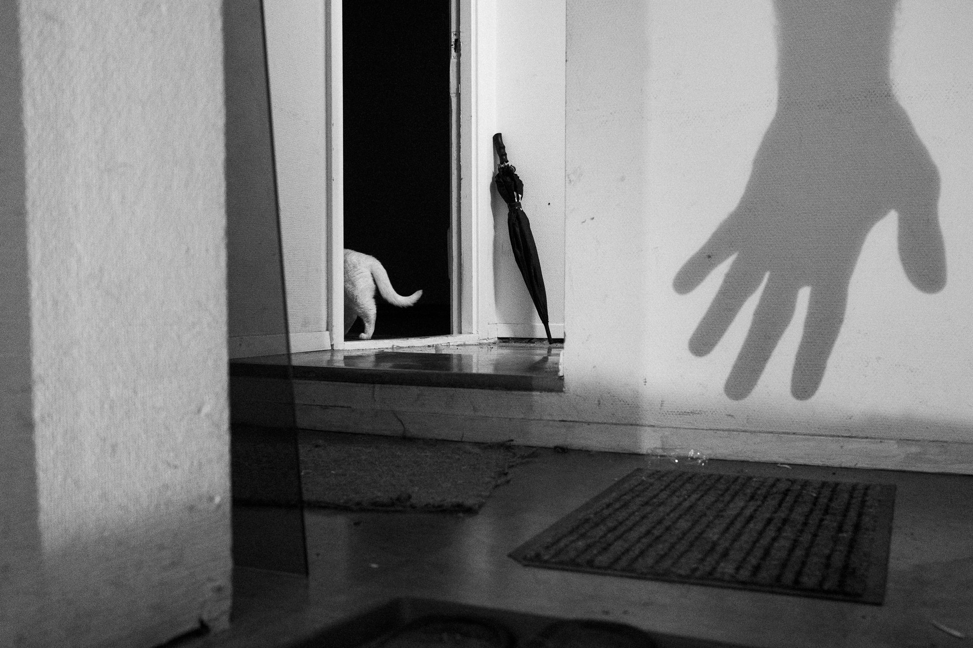 winner of photography awards