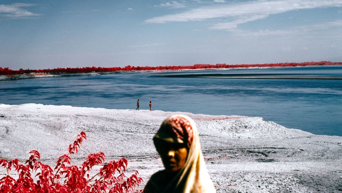 Alluvium deposits on a river floodplain where the camp stood from "After the Flood, After the Red River Valley" (2012). India. 120mm CIR photograph.