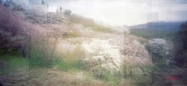 Fukushima, invisible pain