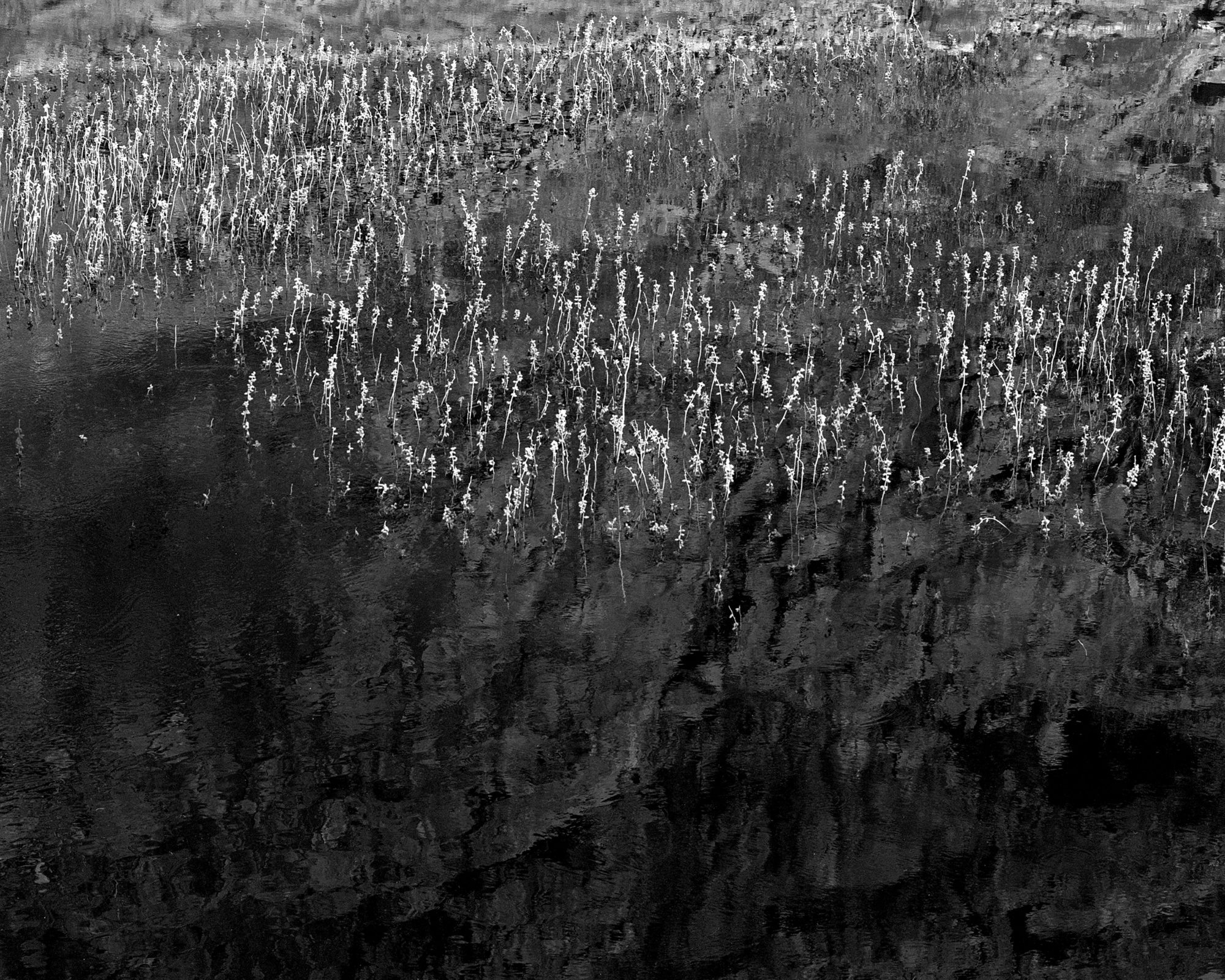 黒坂麻衣　Silent Landscape 消え入りそうな色味が醸す独特の空気。黒坂麻衣の遺した世界 | 人生を