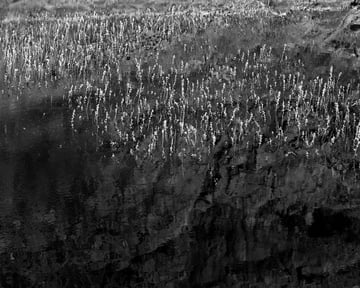 Blanco: Silent Landscapes - Interview with Awoiska van der Molen