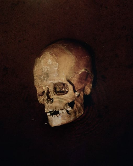 A Paltaniemi skull from 18th century. From the exhibition "Kainuu" © Maria Gallen-Kallela