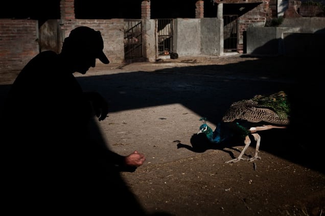 From the project "The big men from Chipilo" - Chipilo, Puebla, Mexico, November/December 2014