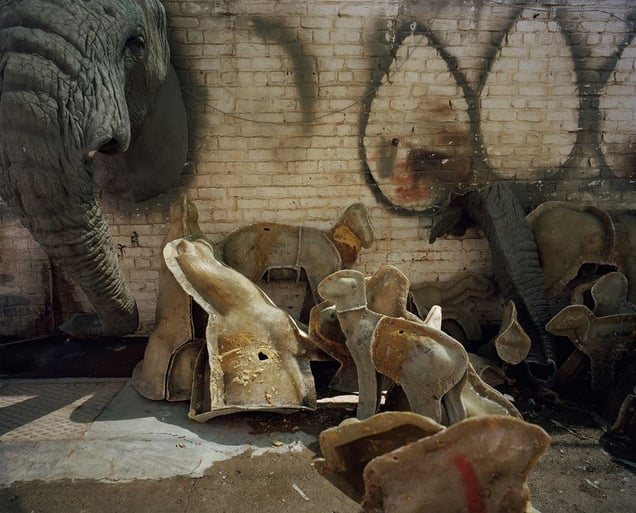 spare parts, taxidermists studio, south africa-from the series 'hunters'-David Chancellor