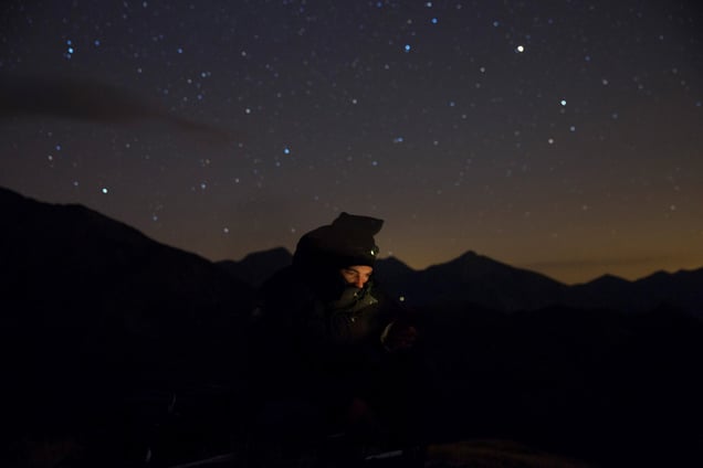 Between bears and shepherds, a difficult coexistence.