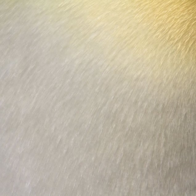 King penguin © Yusuke Sakai
