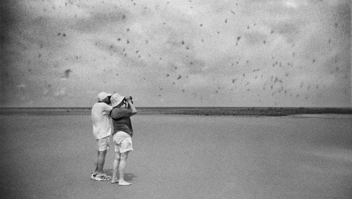 © Jim Rohan