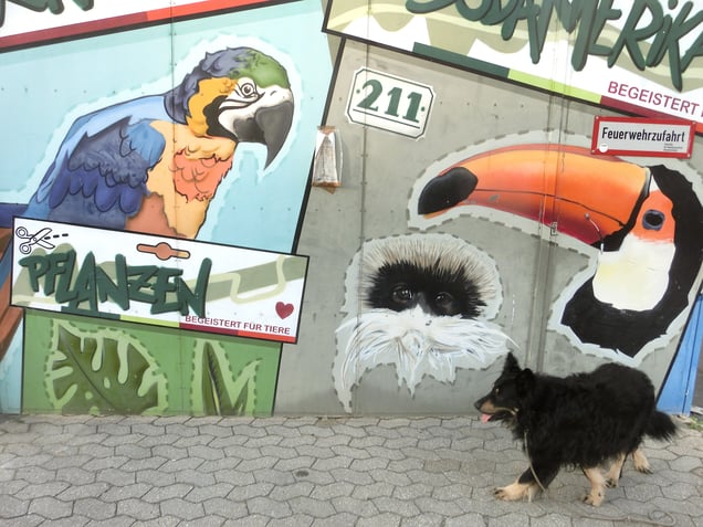 "EIN BESUCH IM ZOO" "VISITING THE ZOO"