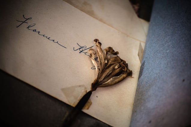 Scrap, flower memory