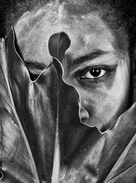 What are you looking at?