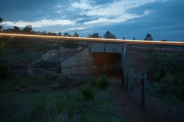 The Elephant Corridor