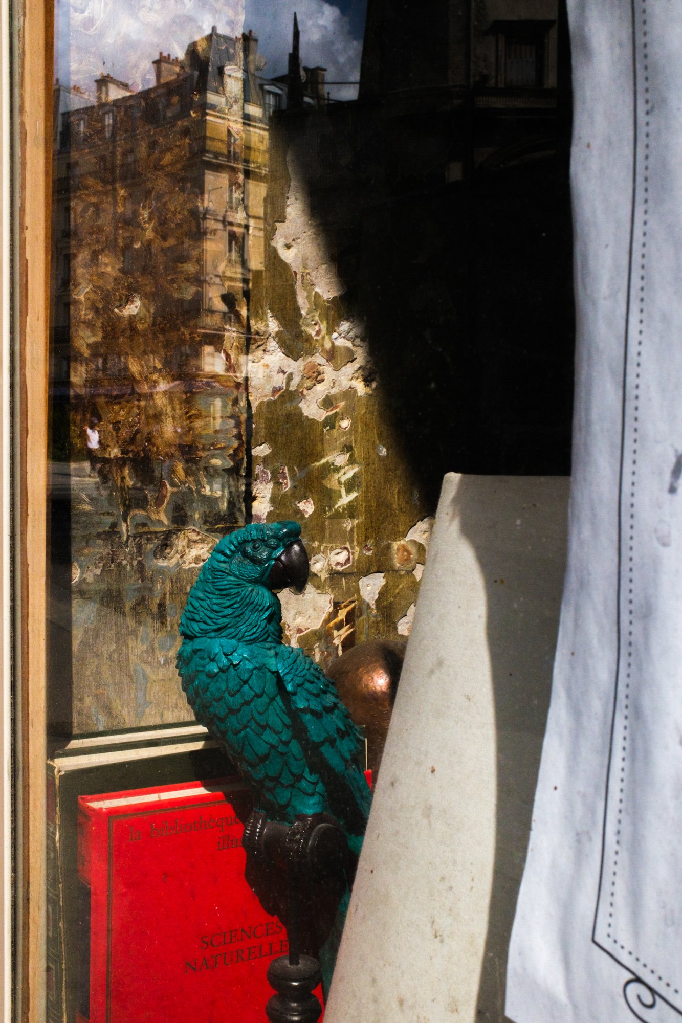 LensCulture Critics' Choice Award Winners for 2026 – Photo Competitions