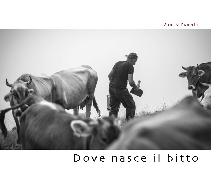 Dove nasce il bitto