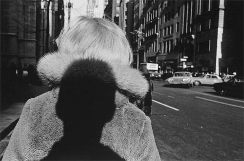 Lee Friedlander Retrospective - Photographs by Lee Friedlander