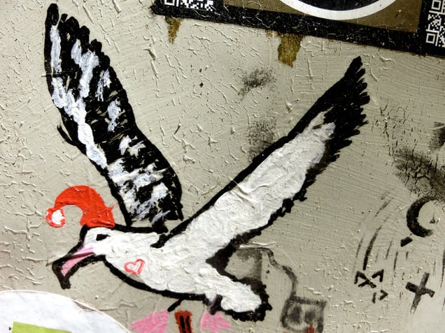 "KÖLLE ALAAF!" oder "DIE IM FLIEGEN KACKENDE KÖLNER LACHMÖWE" "THE COLOGNE LAUGHING GULL POOPING WHILE FLYING"
