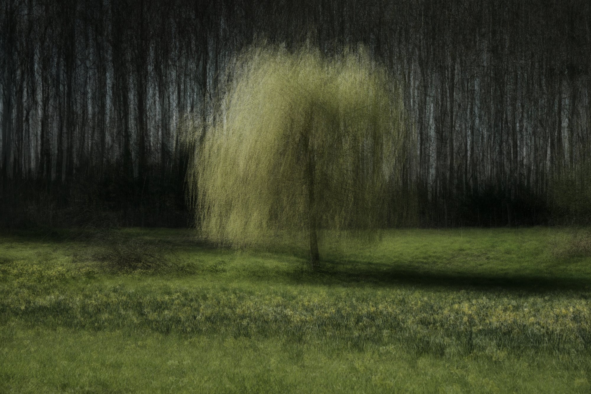LensCulture Critics' Choice Award Winners for 2026 – Photo Competitions