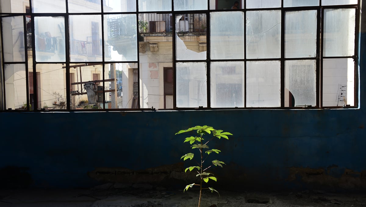 Above the Mercado, Havana