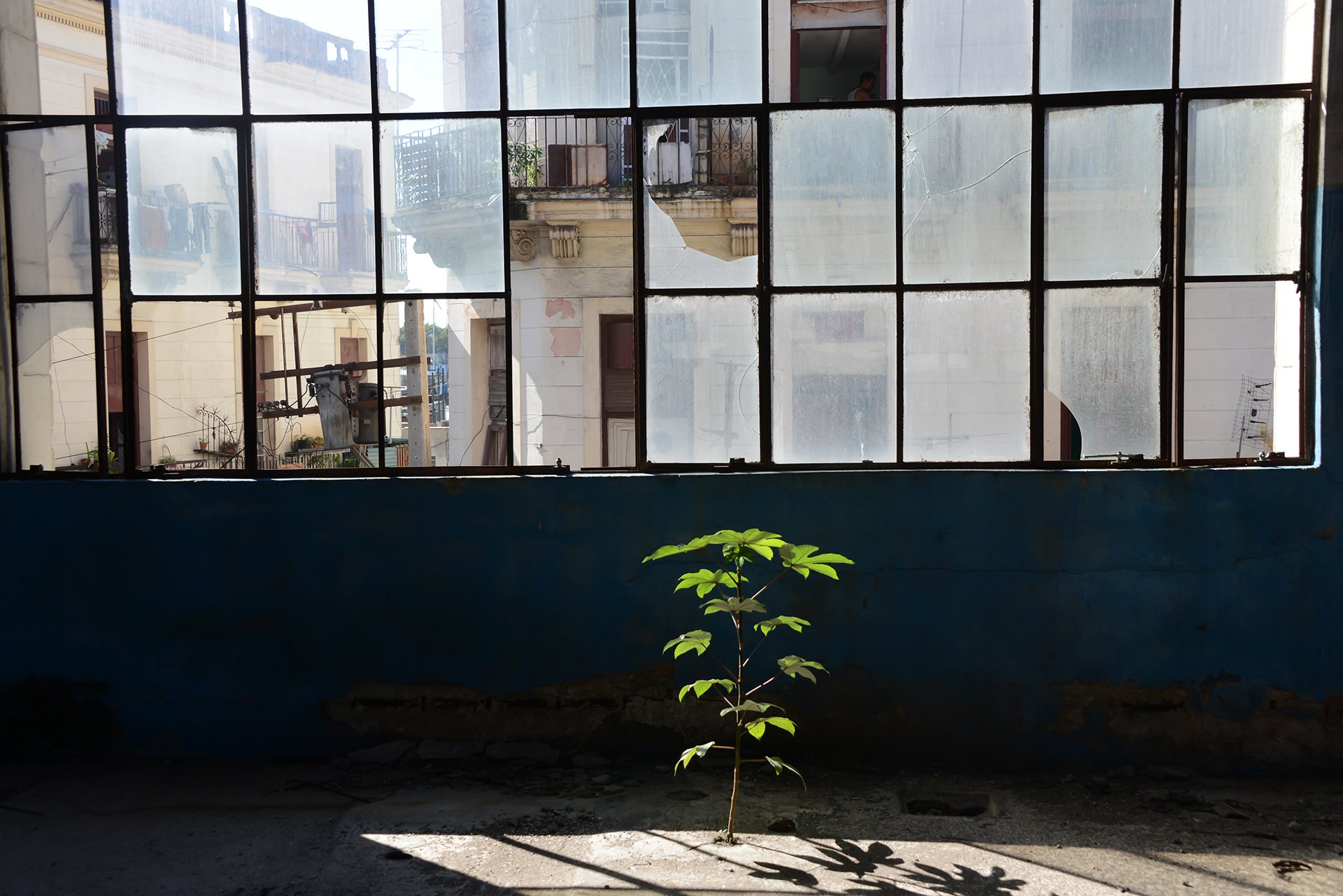 Cuba, 2013, Part II