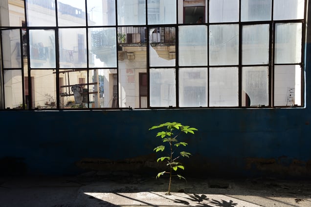Above the Mercado, Havana
