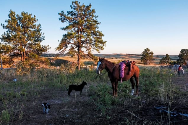 Pine Ridge, South Dakota. 2011.
