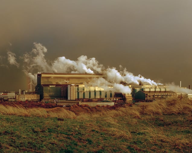 From the photo story, Wijk