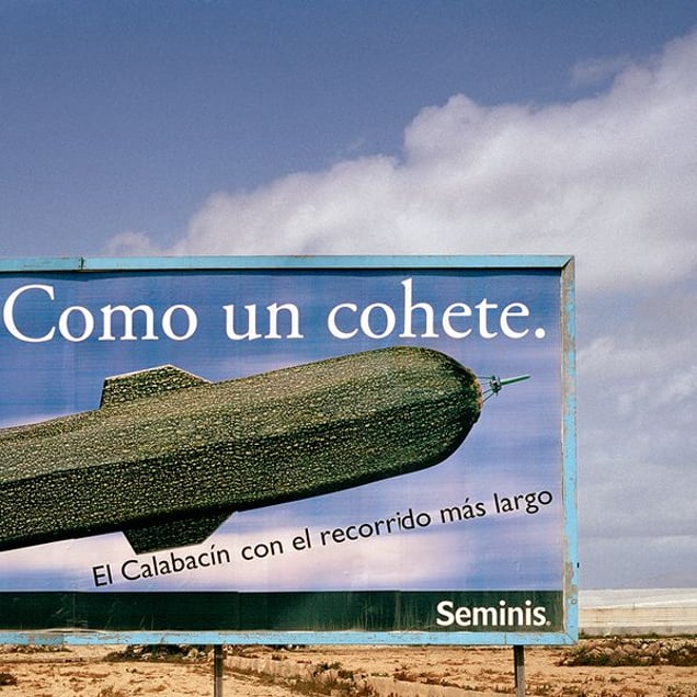 "Like a Rocket. Yields the largest courgettes. Seminis". La Mojonera, Almería. © Reinaldo Loureiro