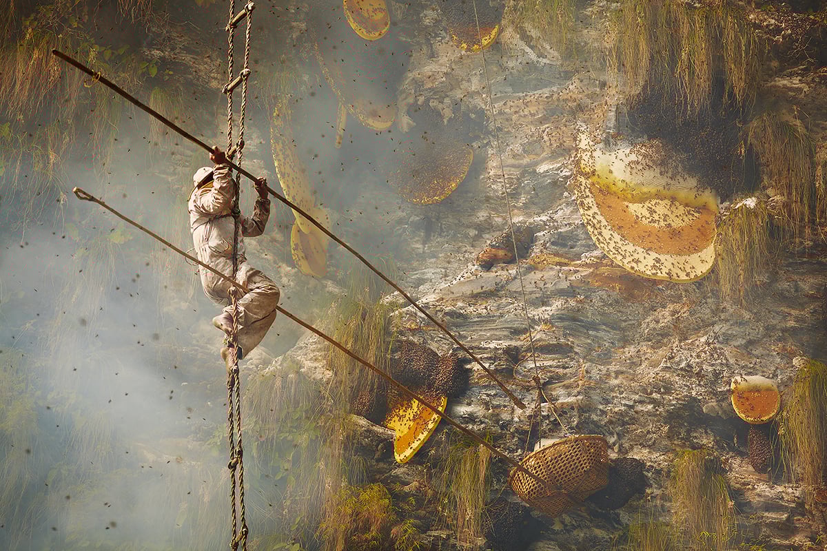LensCulture Critics’ Choice Award Winners for 2025 – Photo Competitions
