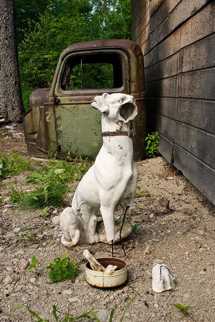 Good Dog (Bad Dog), 2004
