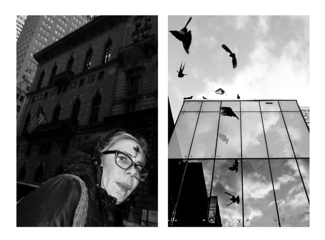 Ashes/Flight