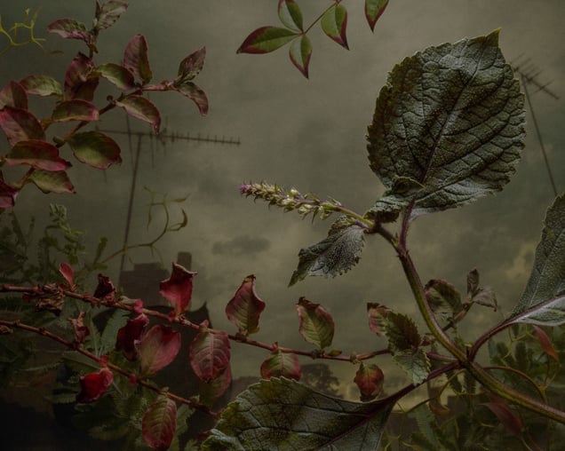 Utilities Access Route