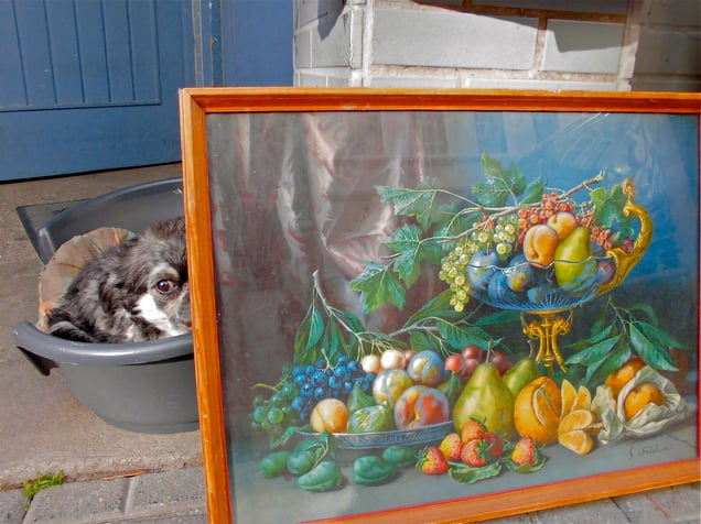 "TUTTI FRUTTI"