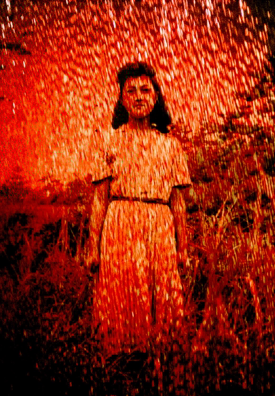 Hiroshima Graph - Everlasting Flow