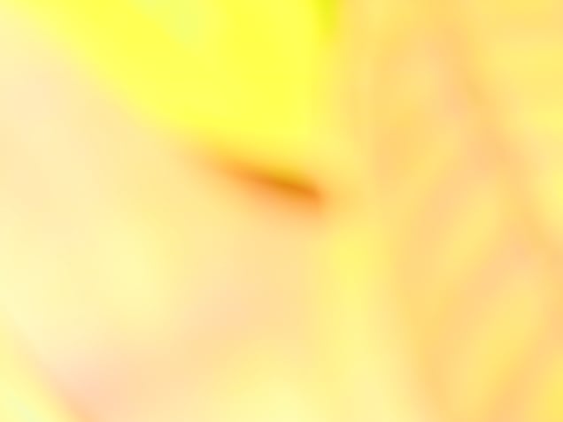 Coloured Fallen Leaves（5）