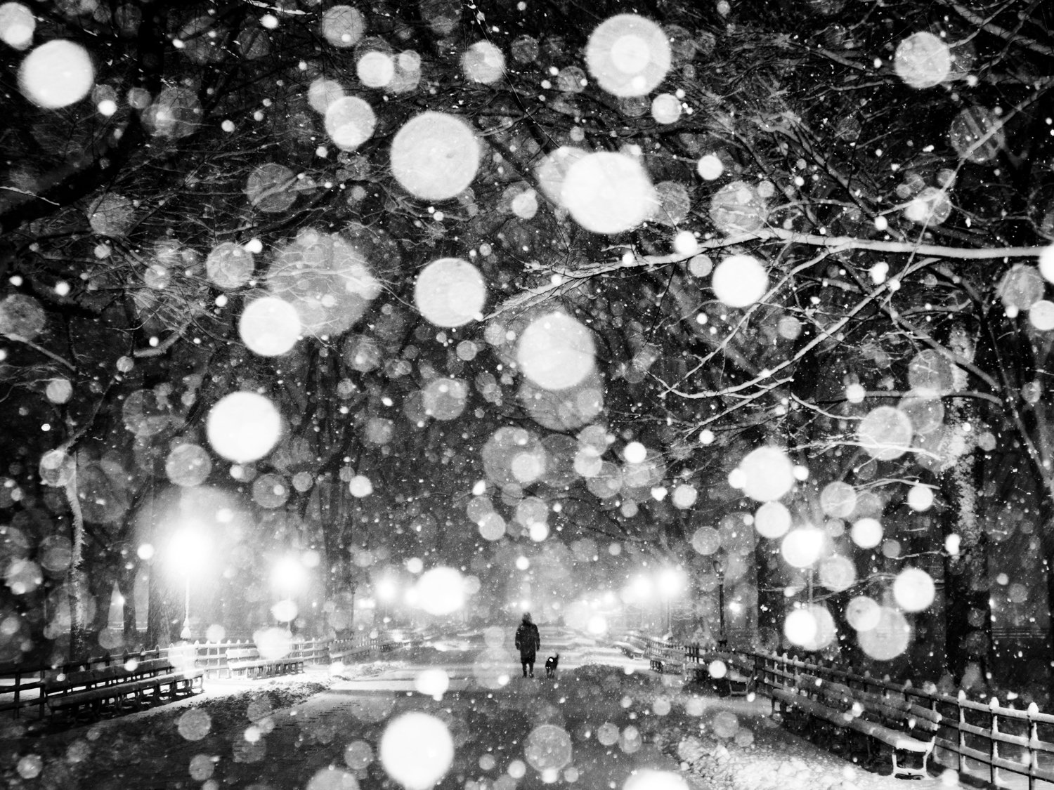 winner of photography awards