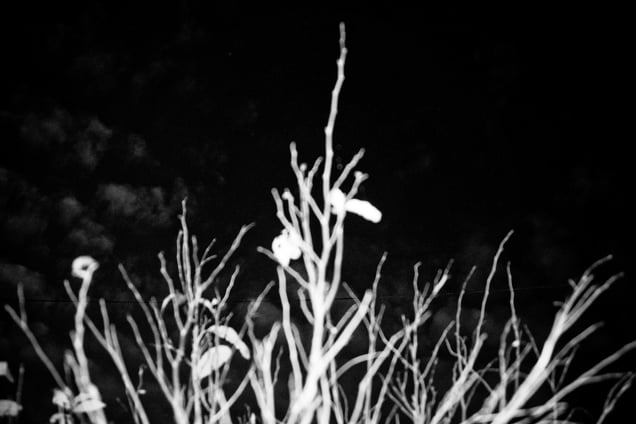 Inside My Head- Aji Susanto Anom - Siem Reap 2015