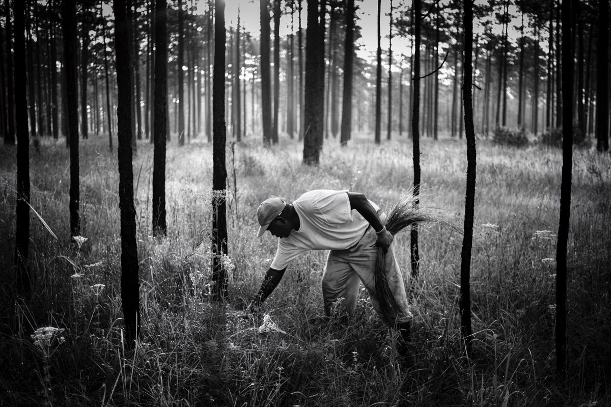 Shadows of the Gullah Geechee