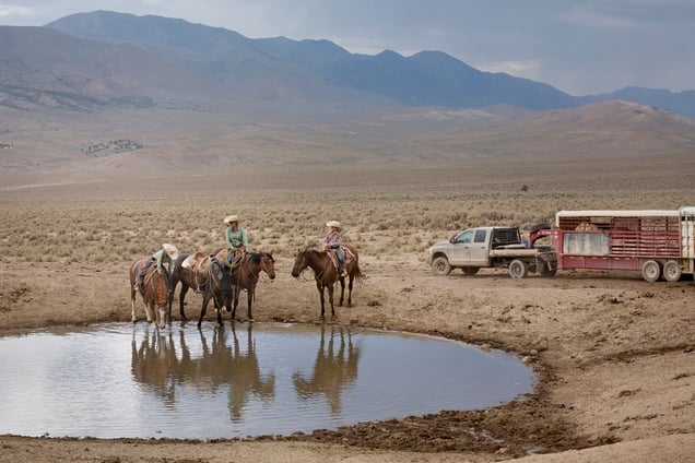 Jette, Georgia and Kole after branding by a hot spring, Jersey Valley, Nevada 2013