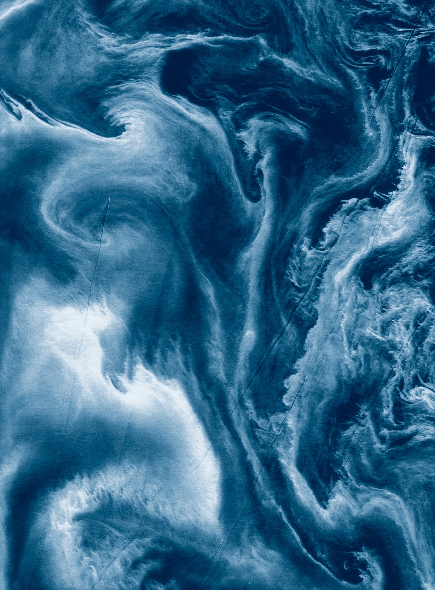 From the book "viridescent, afire" © Małgorzata Stankiewicz