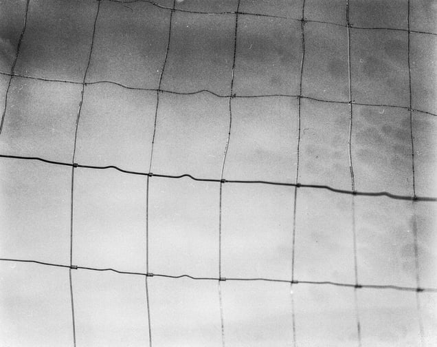 © Michael Donnor