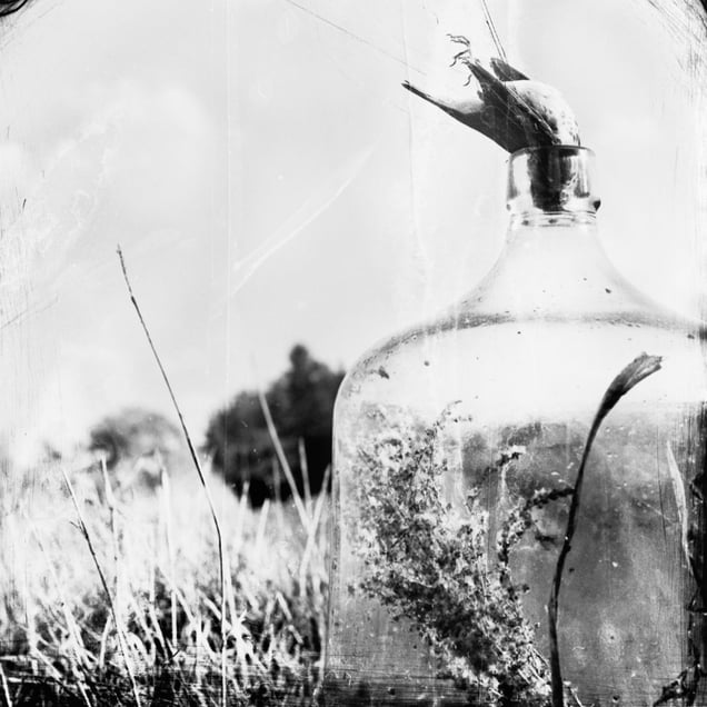 © Michael Donnor