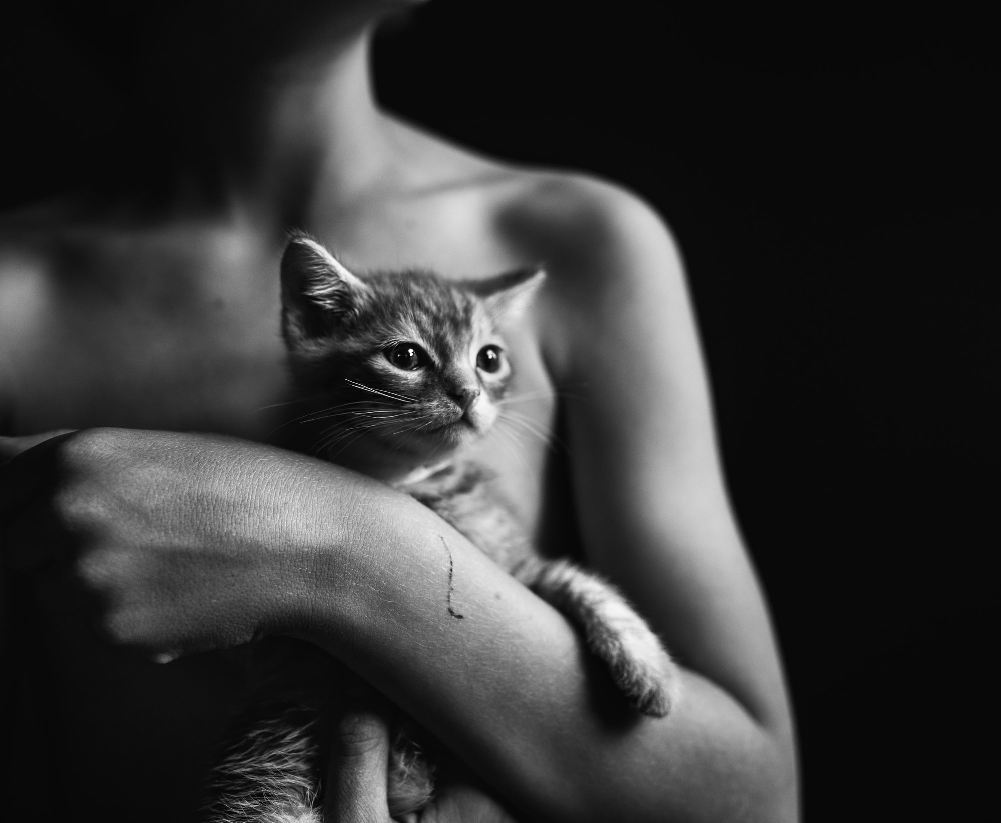 Foster