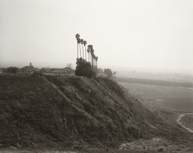 New development on a former citrus-growing estate, Highland, California © Robert Adams, Jeu de Paume