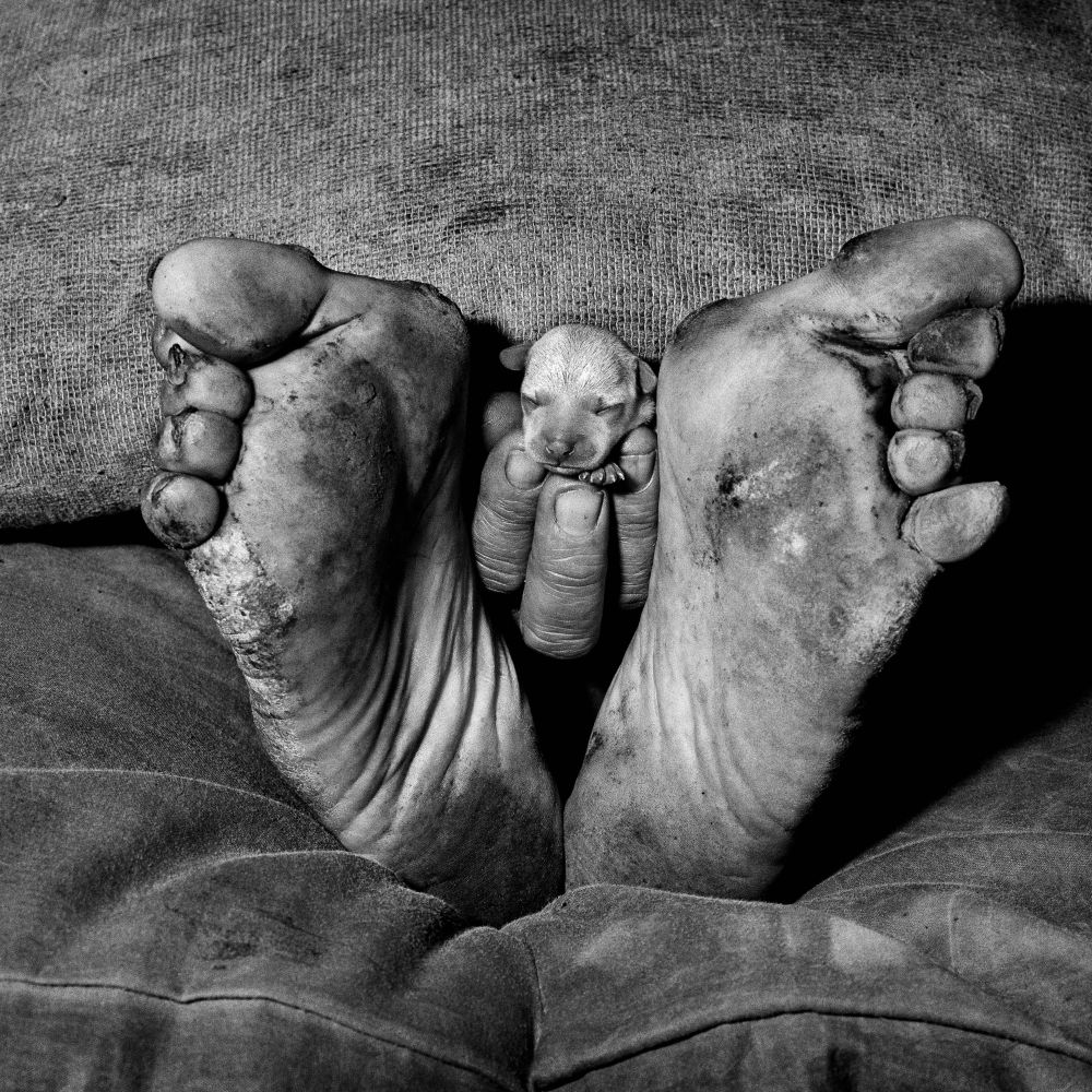 Outland - Photographs by Roger Ballen | LensCulture