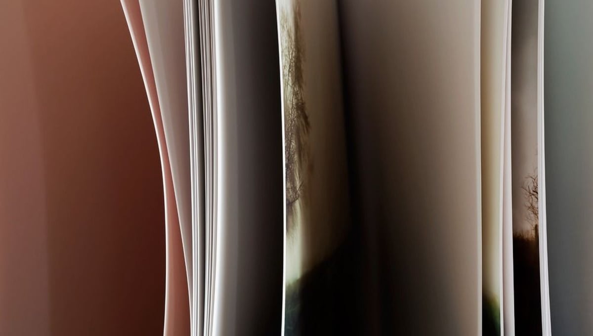 A Road Divided. From the series "Standing Open" © Mary Ellen Bartley