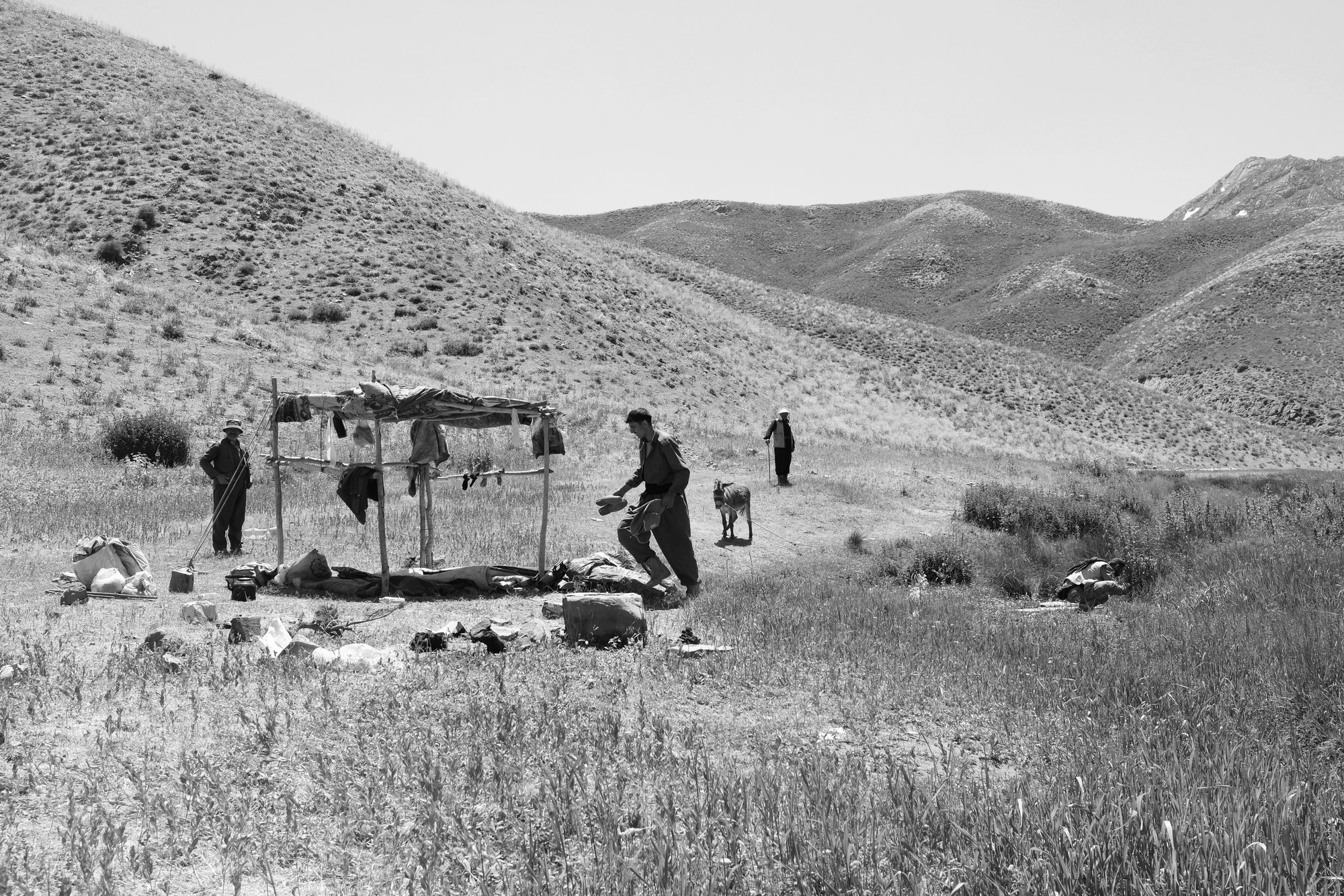 At the Scale of the Mount