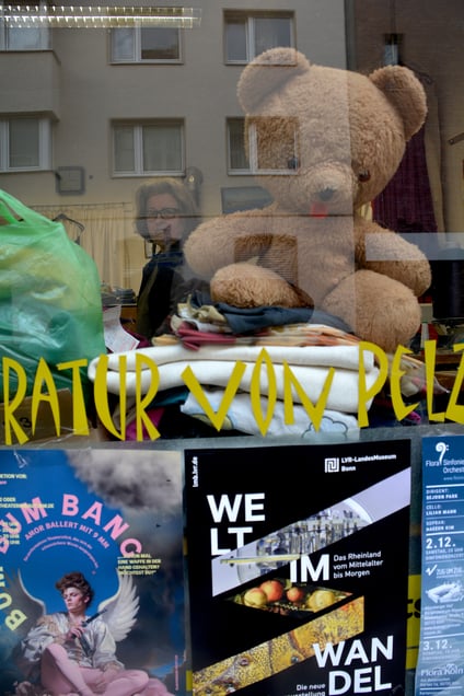 "NEW WORLD ORDER" "DIE NEUE WELTORDNUNG"